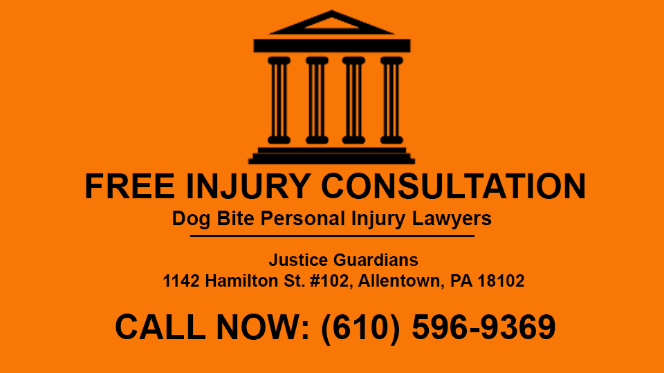 dog attack lawyer allentown pa